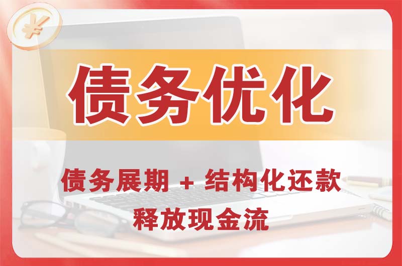 海东地债务优化
