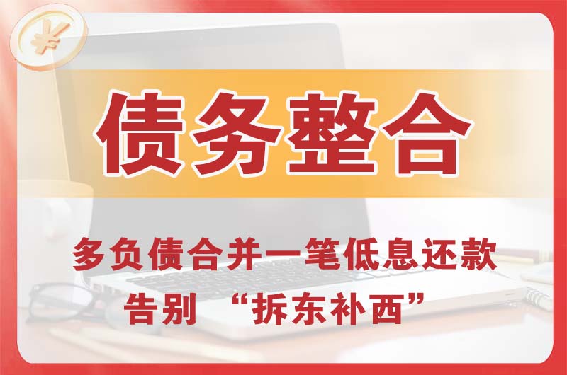 海东地债务整合