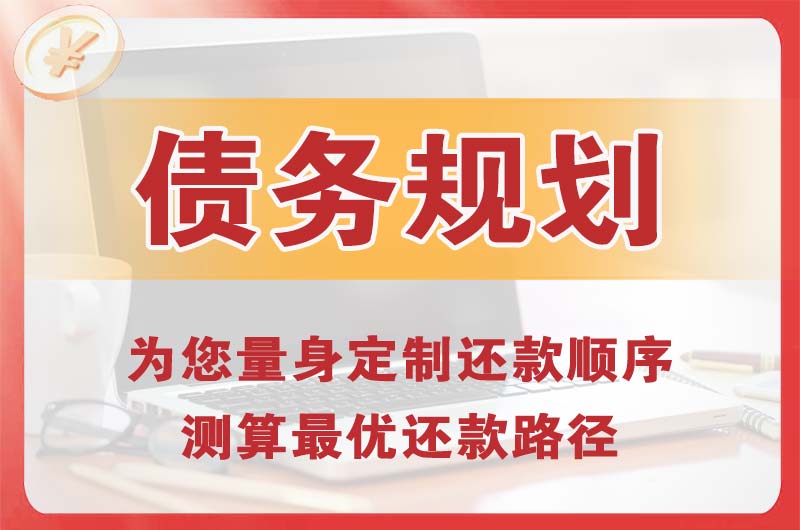 海东地债务规划
